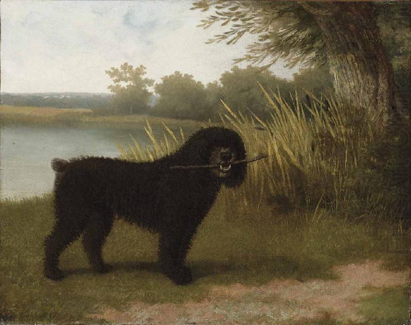 Jacques-Laurent Agasse A black water dog with a stick by a lake china oil painting image